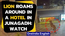 Lion caught on CCTV roaming around in a hotel in Gujarat's Junagadh| Oneindia News