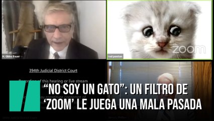 Un abogado se queda atrapado en un filtro de 'Zoom' durante una audiencia virtual