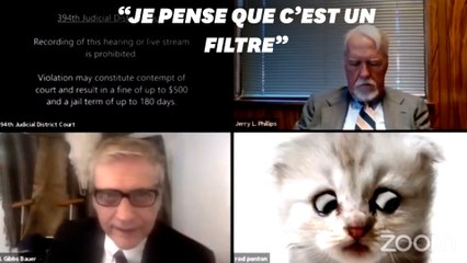"Je ne suis pas un chat": la mésaventure hilarante de cet avocat lors d'un procès sur Zoom