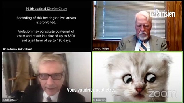 « Je suis bien là en direct, je ne suis pas un chat » : un avocat bloqué sur un filtre sur zoom