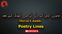 Ghar Jab Bana Liya Tere Dar Par Kahe Baghair | Sad Poetry | MIRZA GHALIB | Poetry Junction