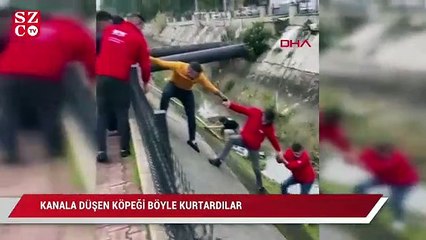 Kanala düşen köpek imece usulü kurtarıldı