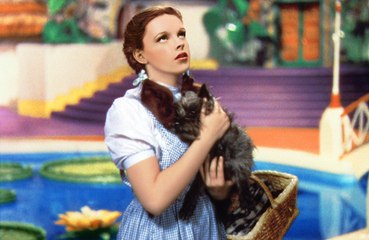 Wizard of Oz remake with Watchmen director Nicole Kassell