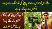 Papaya Farming Se Kese Monthly Lakhon Kama Sakte Hain? - Meet Papaya Farmer Anas Bhatti