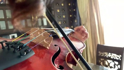 Nee paartha paarvaikkoru nanri -  Violin Cover - Kavya Ajit - Ruthin Thej - Vidhyasagar Venkatesan