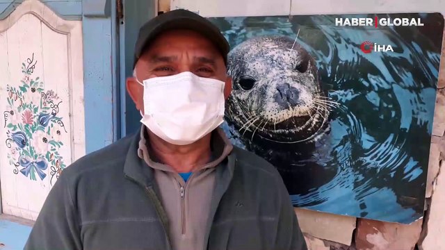 Kuşadası'nda denizden vahşet çıktı! Bacakları bağlı, boğazı ve kulağı kesilmiş