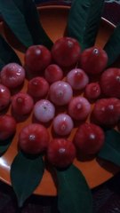 WhatsApp status/very nice song