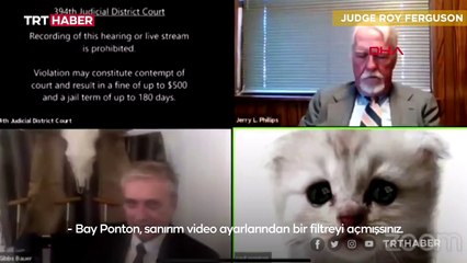 Çevrim içi duruşmaya görüntü filtresiyle katıldı: Kedi değilim