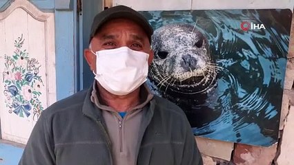 Denizde, bacakları bağlanıp boğazı ve kulağı kesilmiş sığır bulundu!