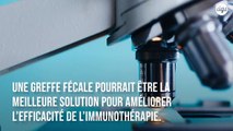 La transplantation fécale rend l'immunothérapie plus efficace contre le cancer