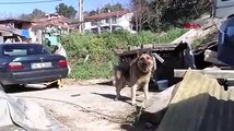 Pendik'te kadını çocuklarının gözü önünde vurdu