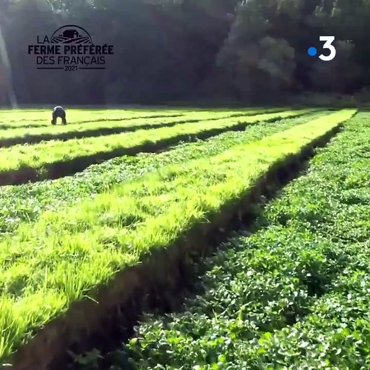 "La ferme préférée des Français" : Les fermes en compétition