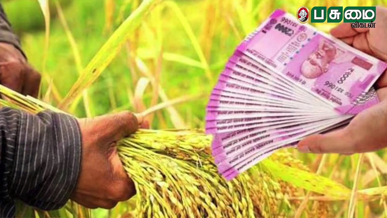 விவசாய கடன், நகை கடன் தள்ளுபடி குழப்பம்.... யாருக்குக் கிடைக்கும்? Agriculture loan Discount
