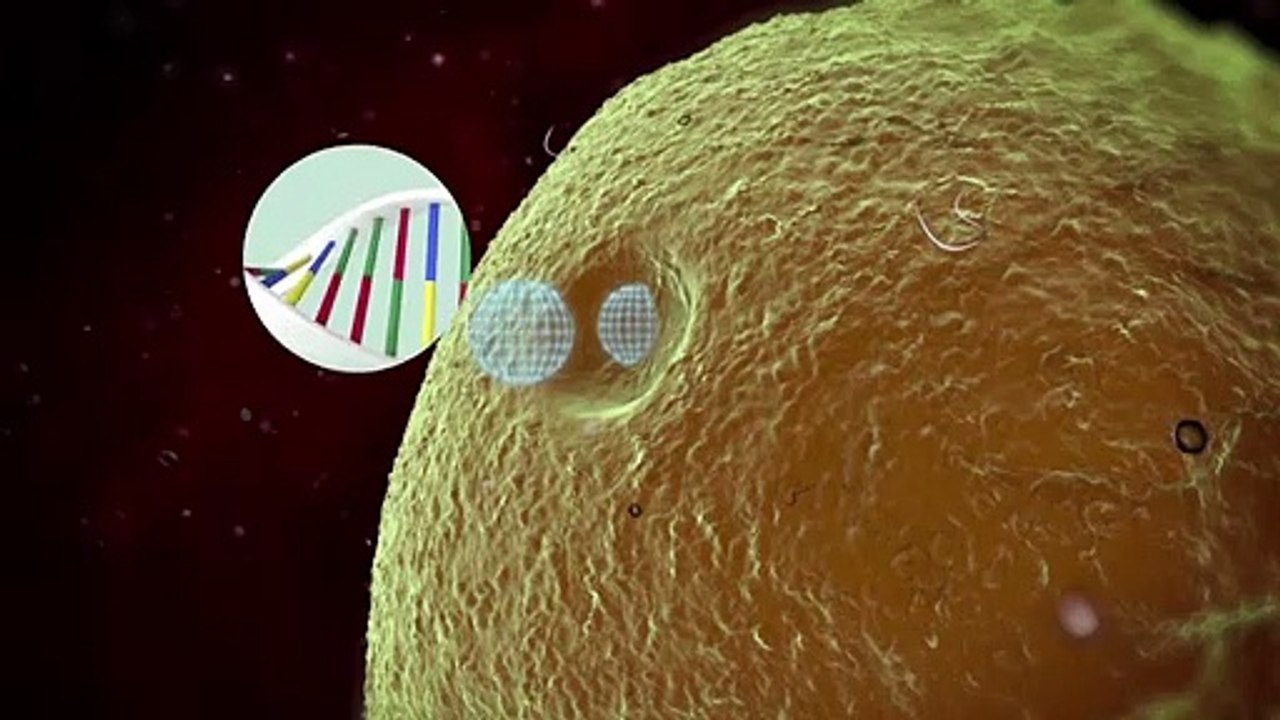 Videografik: So funktionieren mRNA-Impfstoffe