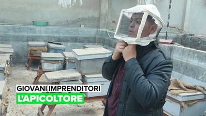 Giovani imprenditori: l'apicoltore