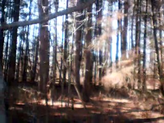 Aura Lee on Hohner Chromatic Echo Harp 🎶