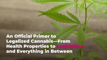 An Official Primer to Legalized Cannabis—From Health Properties to Legislation and Everyth