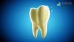 Professional Teeth Cleaning at Johnson Dental - Wheat Ridge Family Dentist!