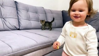 Funny Moments of Cute Baby and Kitten! [TRY NOT TO LAUGH]