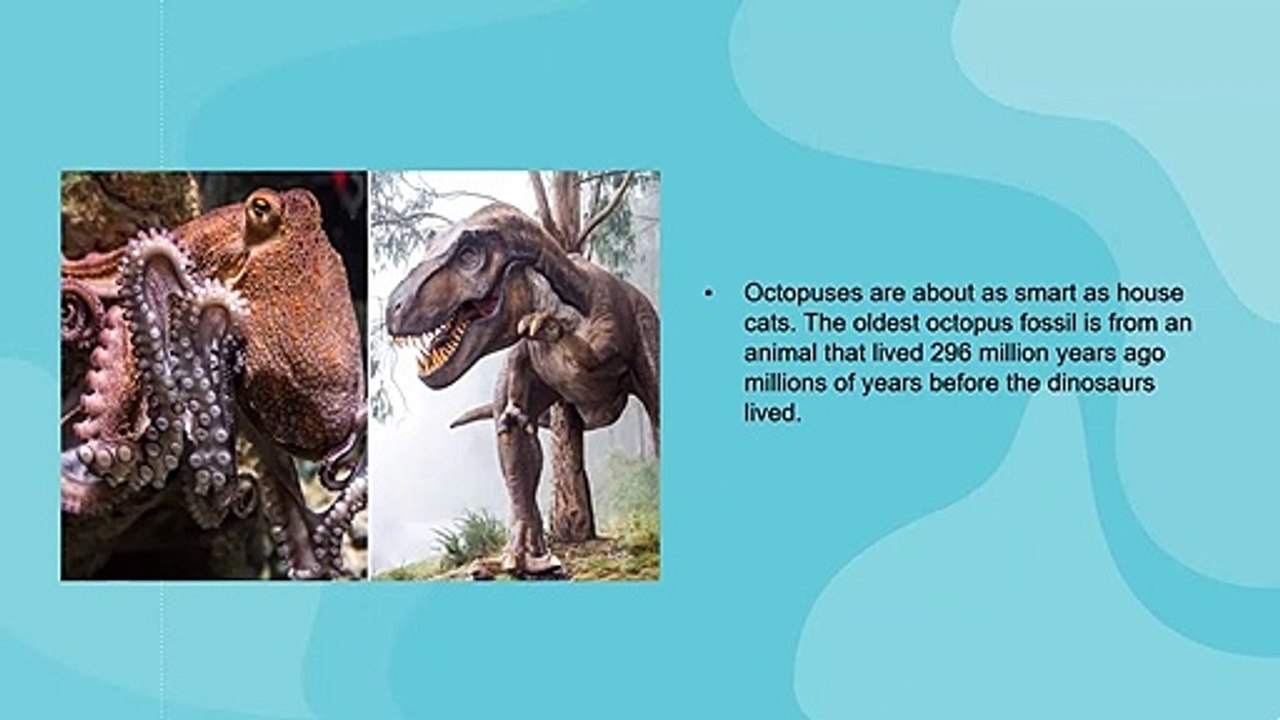 Octopus Are Older Than Dinosaurs.