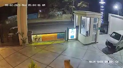 الأسد يدخل الفندق في ولاية غوجارات عن طريق القفز فوق الحائط