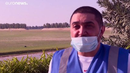 Qatar transforma deserto em viveiro gigante