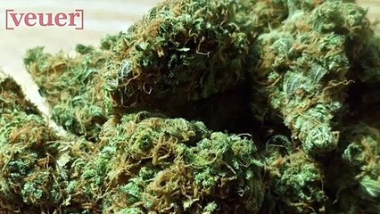 If You Use Cannabis, Are You Eligible for Life Insurance?