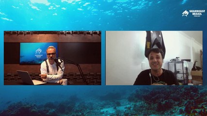 SharkCast Brasil com José Chaves, CEO da Ilunga