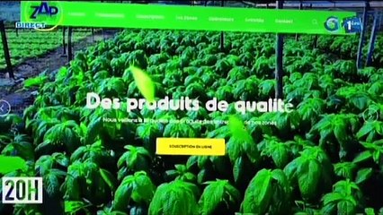 RTG/ Lancement des souscriptions à l’accès aux zones agricoles à forte productivité