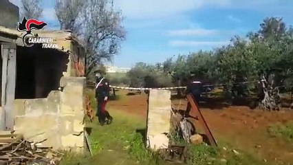 Castelvetrano (TP) - Fucile a canne mozze in un albero forse usato per omicidio (10.02.21)