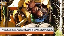 Misiones PyMEs madereras pedirán a la Nación medidas para regular la exportación de rollos sin procesamiento
