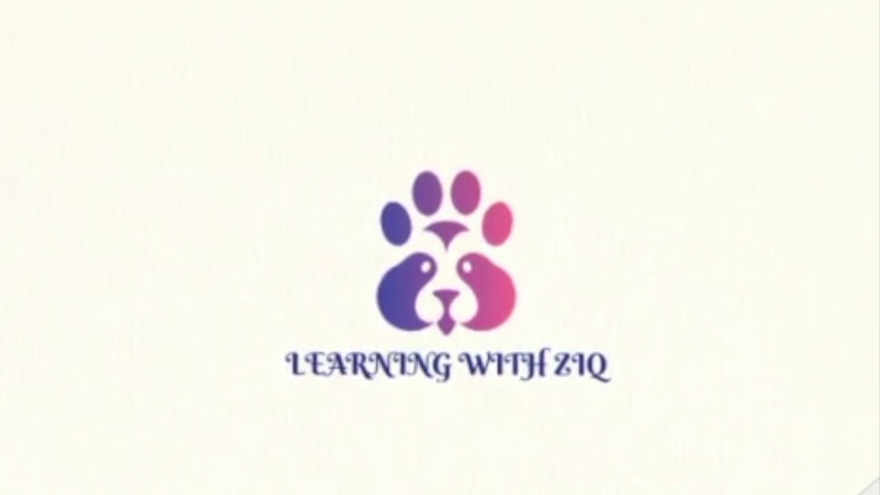 Learning with ZiQ