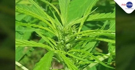 เช้าชวนคุย ช่วงที่ 4 วันพฤหัสบดี 11 กุมภาพันธ์ 2564