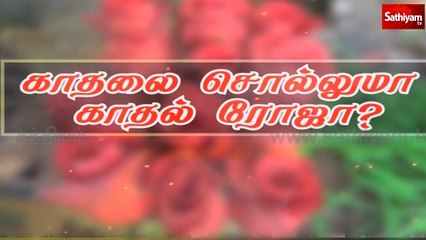 காதலை சொல்லுமா காதல் ரோஜோ? | Krishnagiri | Rose | sathiyam special story