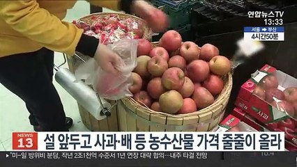 설 앞두고 사과·배 등 농수산물 가격 줄줄이 올라