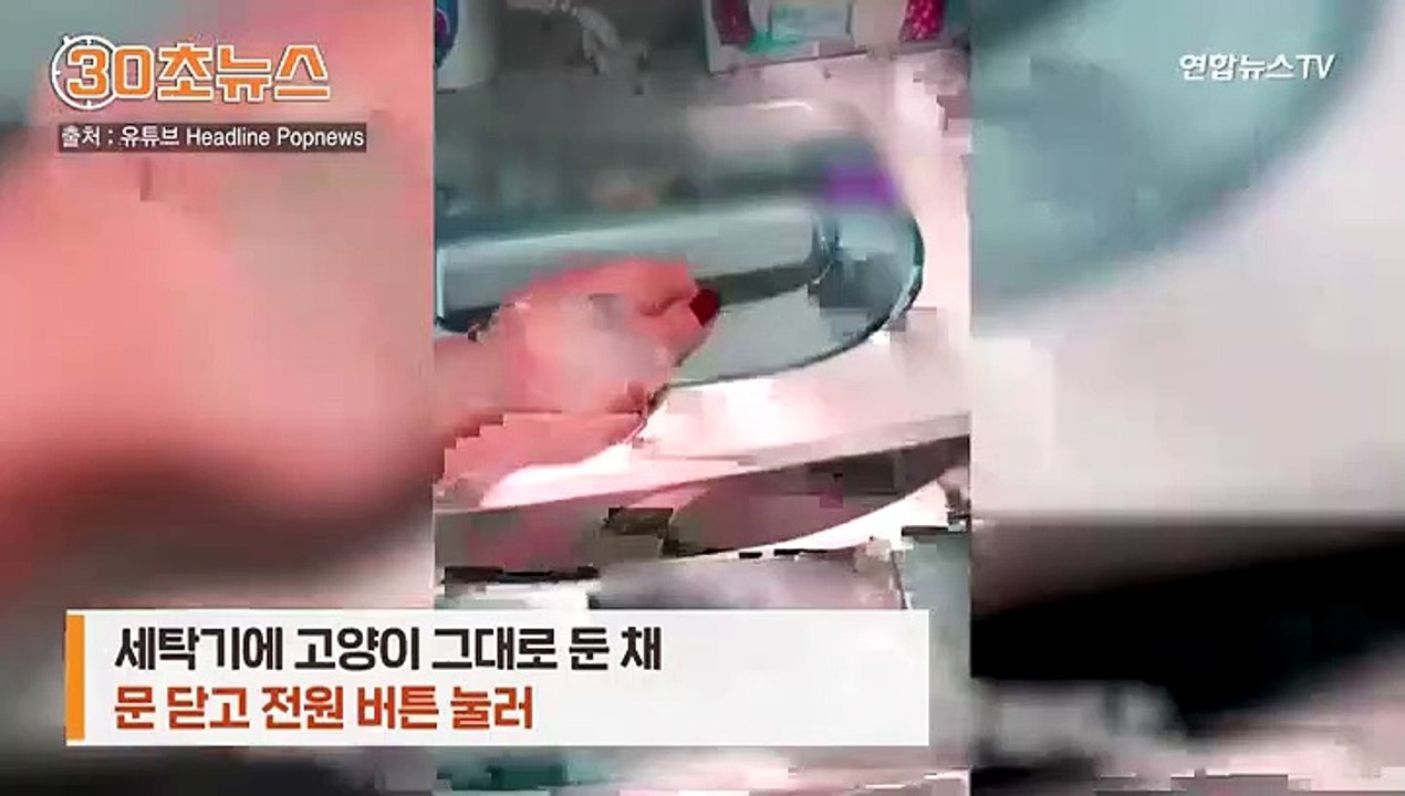[30초뉴스] "고양이 버릇 고치려고"…세탁기에 넣고 돌린 20대 홍콩 여성