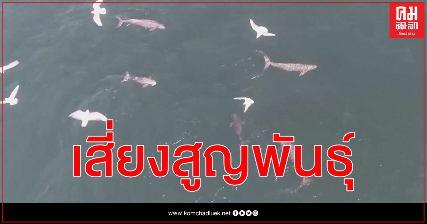 xxjfyxe007021_20210210_cbvfn0a001_hd