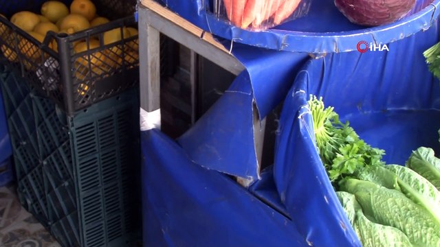 Sokak köpeklerinin 'kedi savaşı' vatandaşı isyan ettirdi