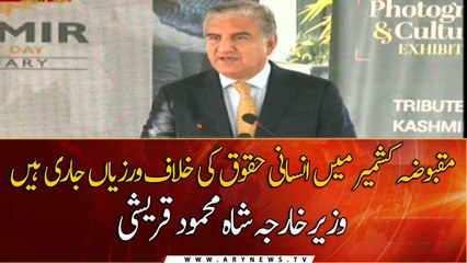 Human rights violations continue in Kashmir by India, FM Qureshi