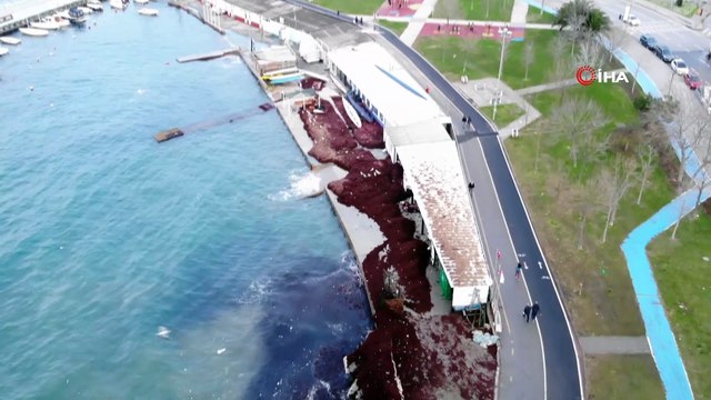 Caddebostan Sahili'ni kırmızı yosunlar ve çöpler kapladı