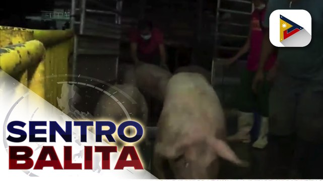Ilang meat dealers, dumarayo sa malalayong lugar para makabili ng murang baboy; hog raisers, nanawagan sa Dept. of Agriculture para sa subsidy para makabawi