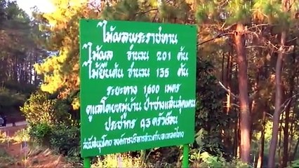 ข่าวในพระราชสำนัก วันศุกร์ที่ 12 กุมภาพันธ์ 2559 (ช่อง 9)