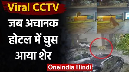 Viral CCTV: जब Hotel में अचानक घुस आया Lion, गार्ड की हुई सिट्टीपिट्टी गुल! | वनइंडिया हिंदी