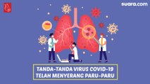 Videografis: Tanda-tanda Virus Covid-19 Telah Menyerang Paru-paru