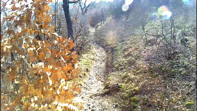 Черковното - слънчев зимен ден 10.02.2021