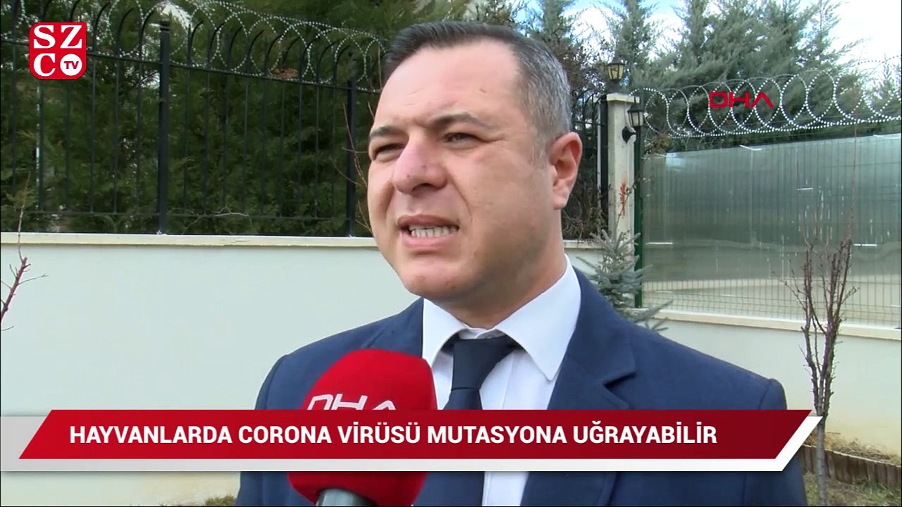 Prof. Dr. Ayaz: Hayvanlarda koronavirüs mutasyona uğrayabilir