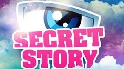 PHOTOS - Chirurgie esthétique : Secret Story : une ancienne star du programme change...