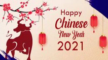 Chinese New Year 2021 Greetings For Family: Wish 'Kung Hei Fat Choi'  To Celebrate the Year of the Ox