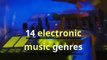 14 electronic music genres