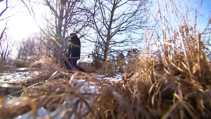 Wo wächst in Dänemark die "wildeste Natur"?